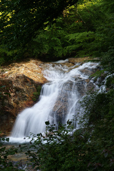 玉簾の滝